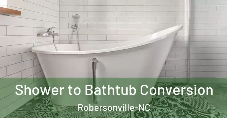 inner Bathroom imggen Shower to Bathtub Conversion Robersonville-NC