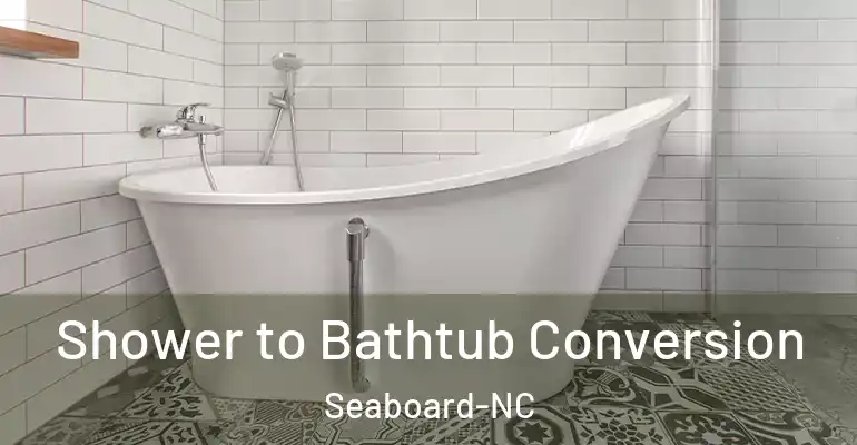 inner Bathroom imggen Shower to Bathtub Conversion Seaboard-NC