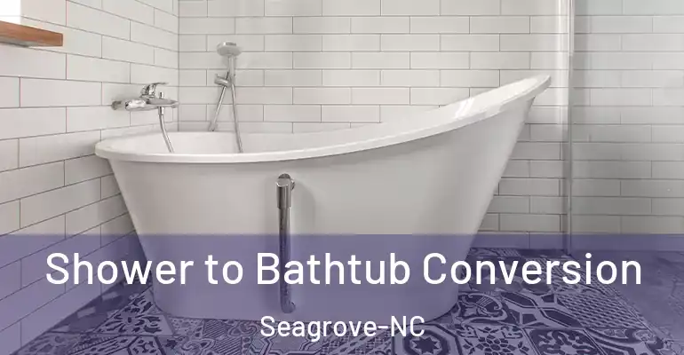 inner Bathroom imggen Shower to Bathtub Conversion Seagrove-NC