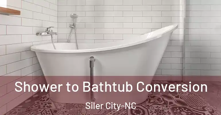 inner Bathroom imggen Shower to Bathtub Conversion Siler City-NC