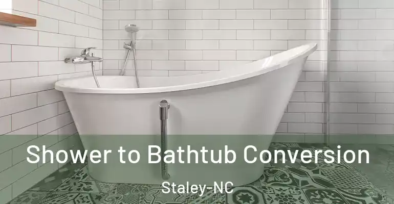 inner Bathroom imggen Shower to Bathtub Conversion Staley-NC
