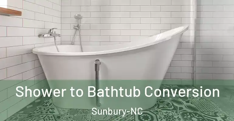 inner Bathroom imggen Shower to Bathtub Conversion Sunbury-NC
