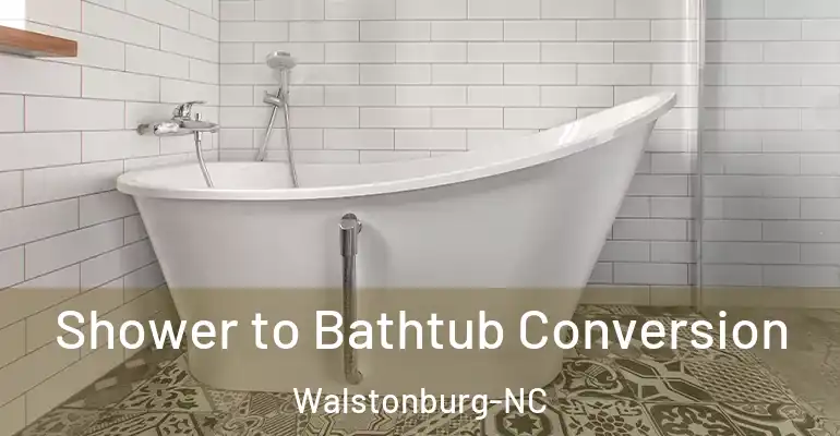 inner Bathroom imggen Shower to Bathtub Conversion Walstonburg-NC