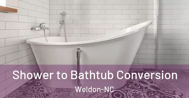 inner Bathroom imggen Shower to Bathtub Conversion Weldon-NC