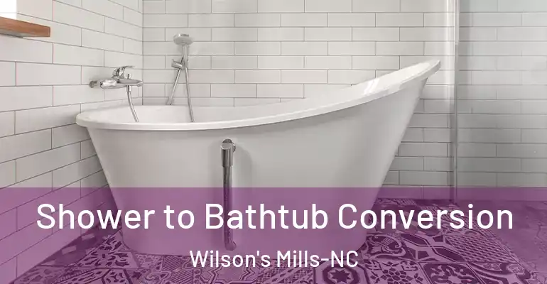 inner Bathroom imggen Shower to Bathtub Conversion Wilson's Mills-NC