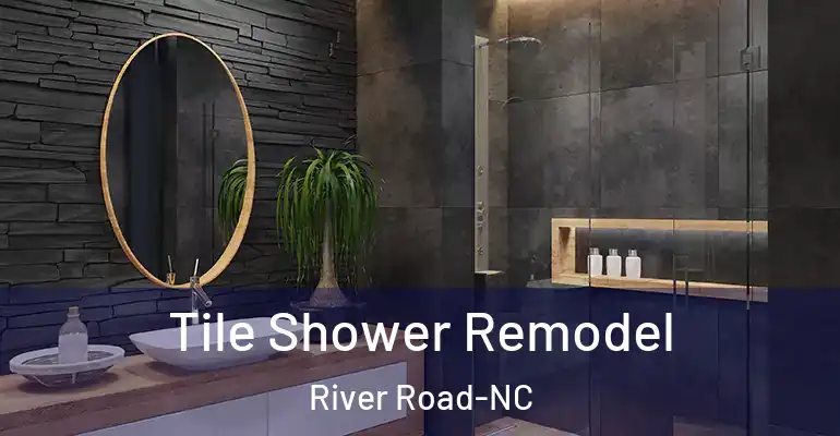 inner Bathroom imggen Tile Shower Remodel River Road-NC