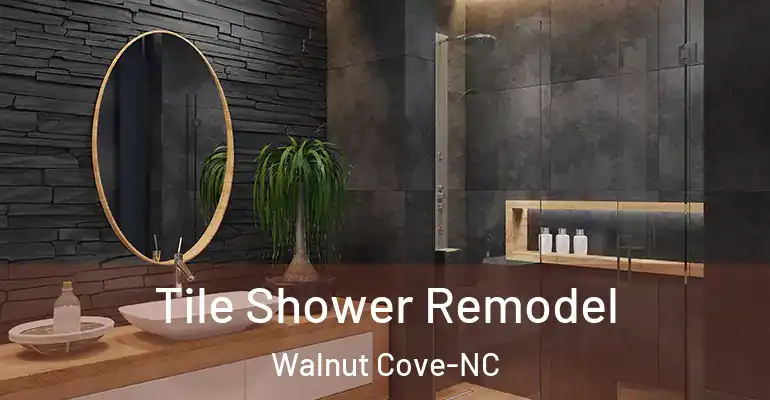 inner Bathroom imggen Tile Shower Remodel Walnut Cove-NC