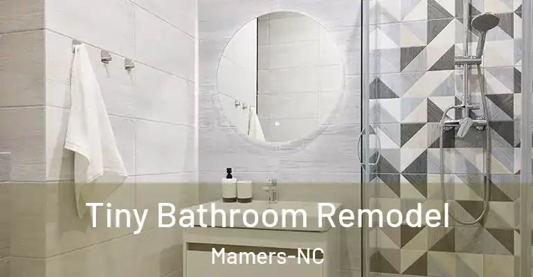 inner Bathroom imggen Tiny Bathroom Remodel Mamers-NC