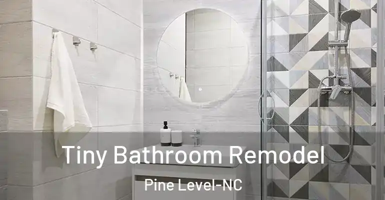 inner Bathroom imggen Tiny Bathroom Remodel Pine Level-NC