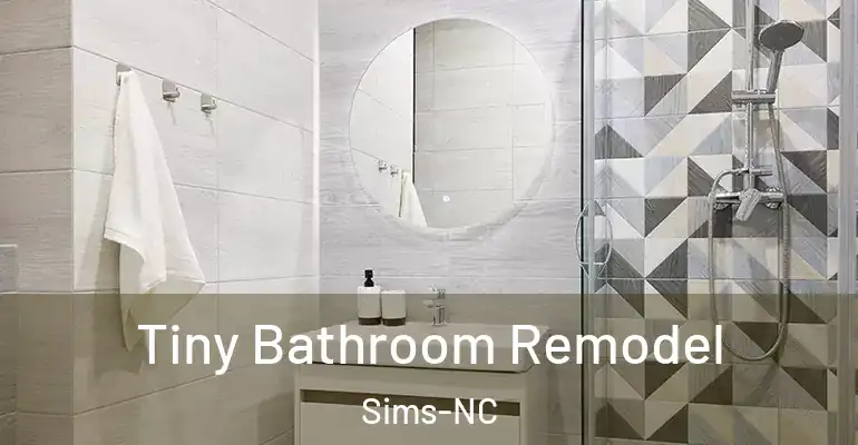 inner Bathroom imggen Tiny Bathroom Remodel Sims-NC