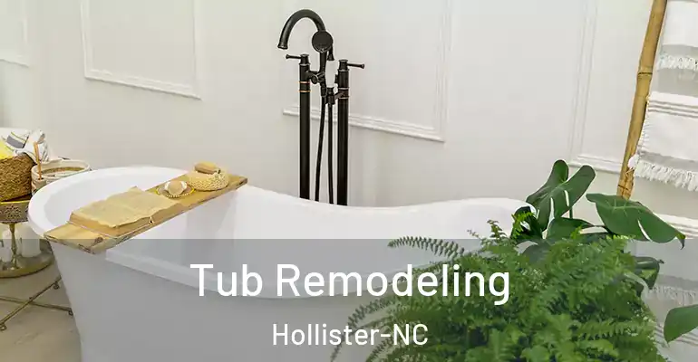 inner Bathroom imggen Tub Remodeling Hollister-NC