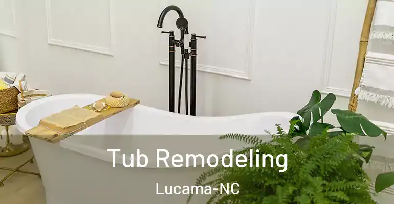 inner Bathroom imggen Tub Remodeling Lucama-NC