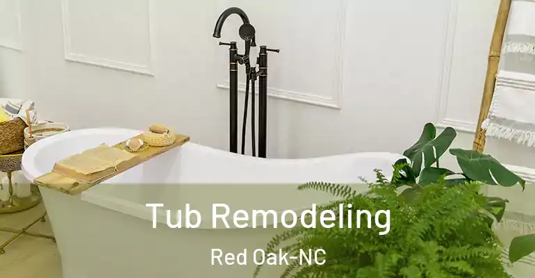 inner Bathroom imggen Tub Remodeling Red Oak-NC
