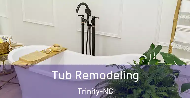 inner Bathroom imggen Tub Remodeling Trinity-NC