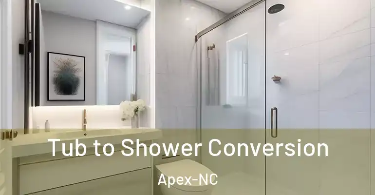 inner Bathroom imggen Tub to Shower Conversion Apex-NC