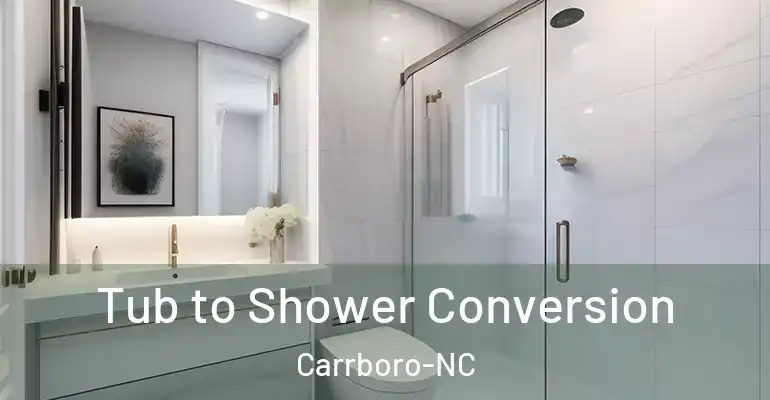 inner Bathroom imggen Tub to Shower Conversion Carrboro-NC