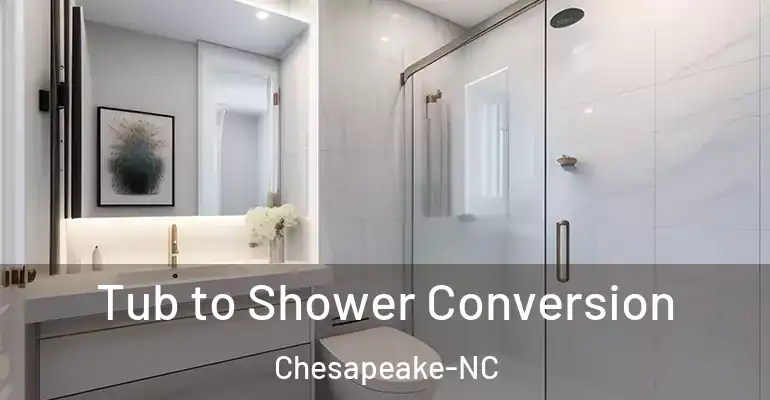 inner Bathroom imggen Tub to Shower Conversion Chesapeake-NC
