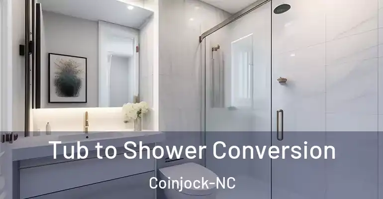 inner Bathroom imggen Tub to Shower Conversion Coinjock-NC