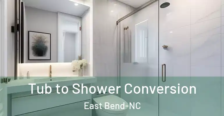 inner Bathroom imggen Tub to Shower Conversion East Bend-NC