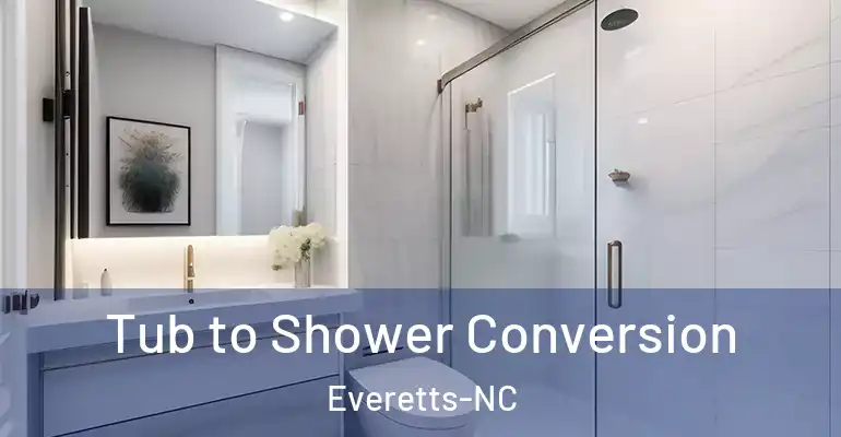 inner Bathroom imggen Tub to Shower Conversion Everetts-NC