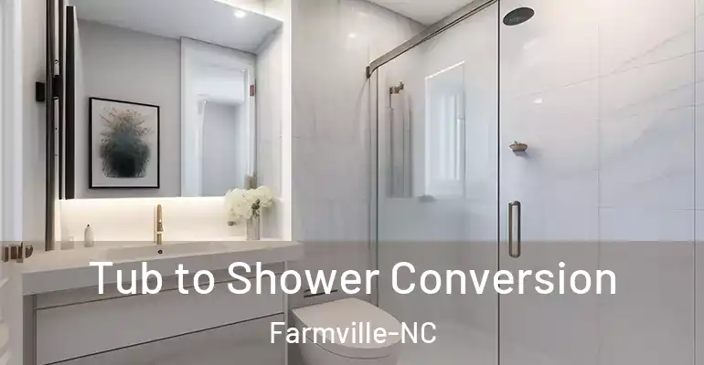 inner Bathroom imggen Tub to Shower Conversion Farmville-NC
