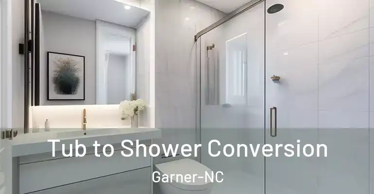 inner Bathroom imggen Tub to Shower Conversion Garner-NC