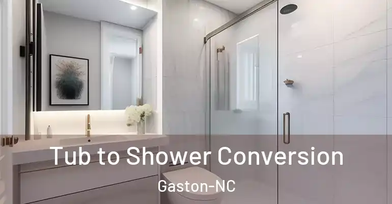 inner Bathroom imggen Tub to Shower Conversion Gaston-NC