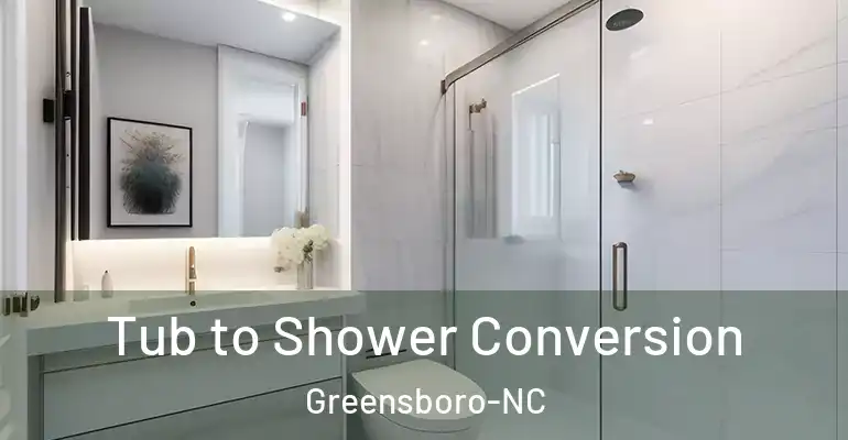 inner Bathroom imggen Tub to Shower Conversion Greensboro-NC