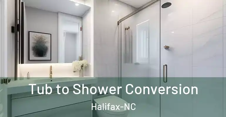 inner Bathroom imggen Tub to Shower Conversion Halifax-NC