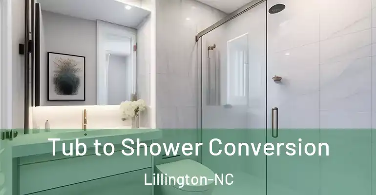 inner Bathroom imggen Tub to Shower Conversion Lillington-NC