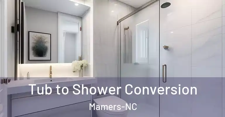 inner Bathroom imggen Tub to Shower Conversion Mamers-NC