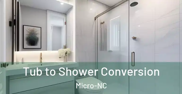 inner Bathroom imggen Tub to Shower Conversion Micro-NC