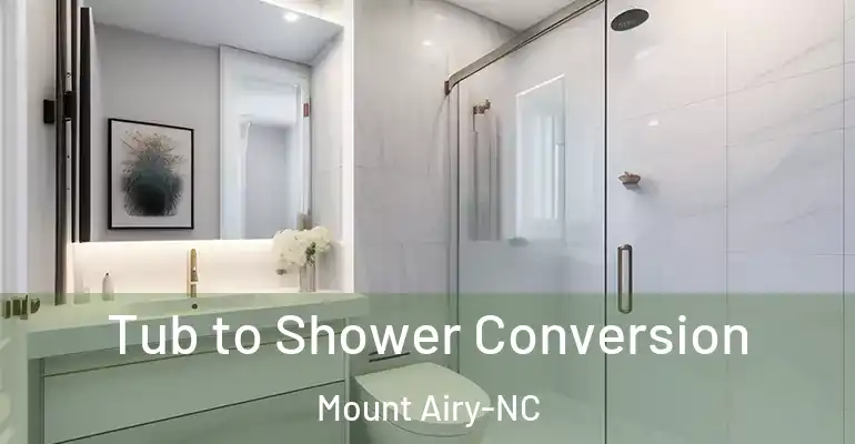 inner Bathroom imggen Tub to Shower Conversion Mount Airy-NC