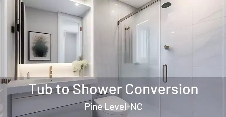 inner Bathroom imggen Tub to Shower Conversion Pine Level-NC