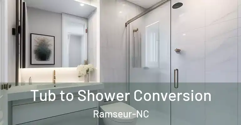 inner Bathroom imggen Tub to Shower Conversion Ramseur-NC