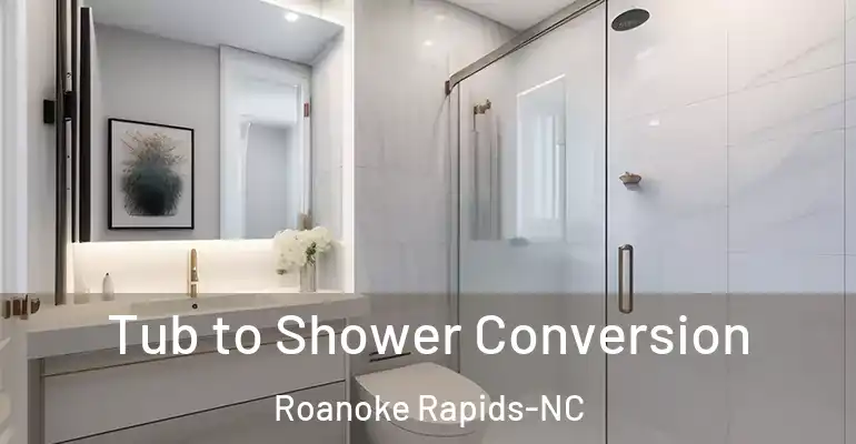 inner Bathroom imggen Tub to Shower Conversion Roanoke Rapids-NC