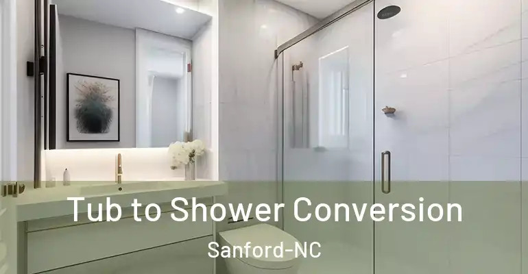 inner Bathroom imggen Tub to Shower Conversion Sanford-NC