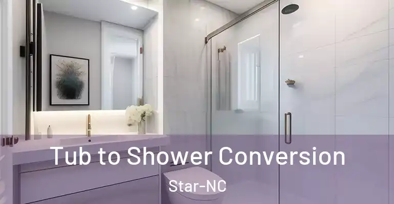 inner Bathroom imggen Tub to Shower Conversion Star-NC