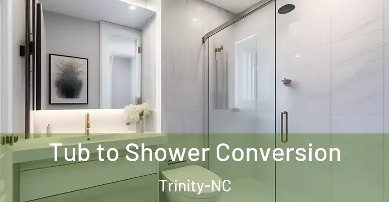 inner Bathroom imggen Tub to Shower Conversion Trinity-NC
