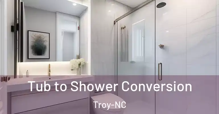 inner Bathroom imggen Tub to Shower Conversion Troy-NC