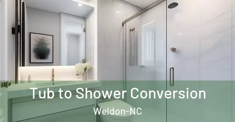 inner Bathroom imggen Tub to Shower Conversion Weldon-NC