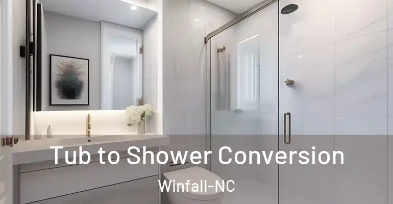 inner Bathroom imggen Tub to Shower Conversion Winfall-NC