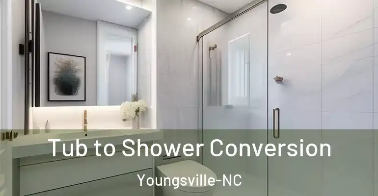 inner Bathroom imggen Tub to Shower Conversion Youngsville-NC