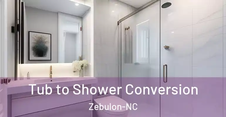 inner Bathroom imggen Tub to Shower Conversion Zebulon-NC
