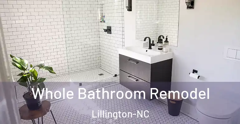 inner Bathroom imggen Whole Bathroom Remodel Lillington-NC